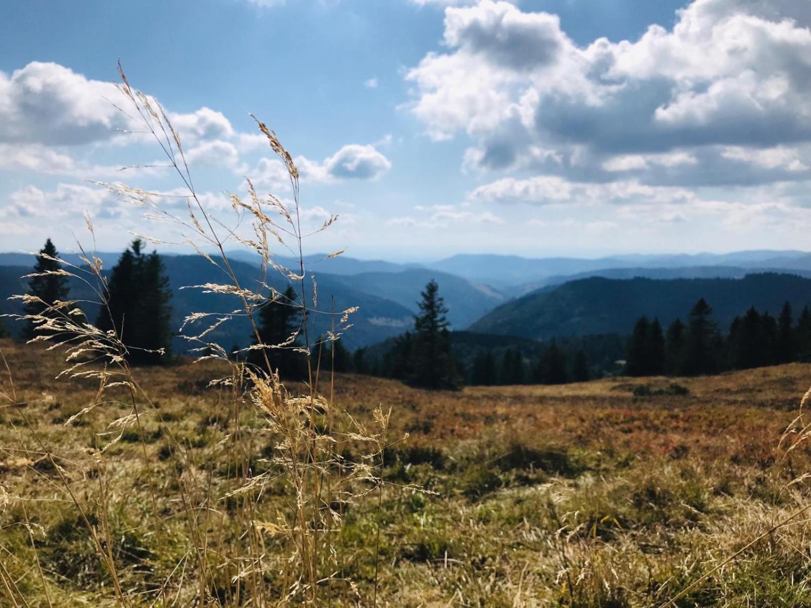 Ferienhaus Robin Titisee-Neustadt Exteriér fotografie